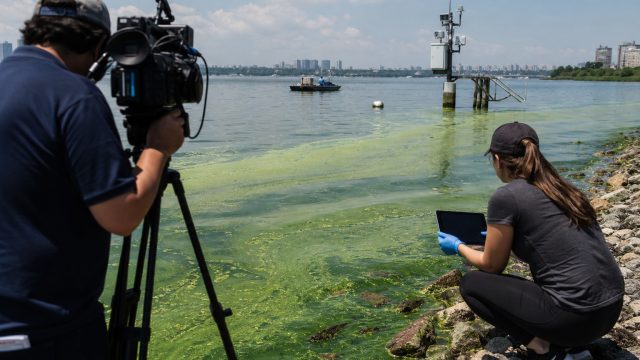 The Algae Crisis: Na