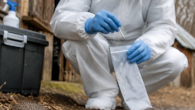 Hantavirus Response 